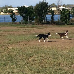 IMG_0227_zpsmpjjgzv1.jpg