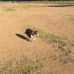 IMG_0297_zpszunqt0kt.jpg
