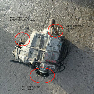 transfer photo labelled.jpg