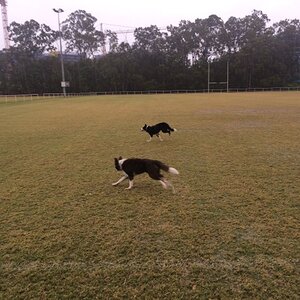 IMG_0409_zpsfzr5qzwc.jpg