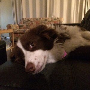 IMG_0565_zpso0ijutes.jpg