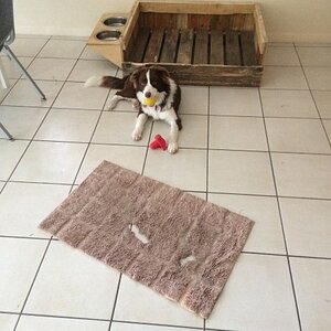 IMG_0681_zpswx0y4kk9.jpg