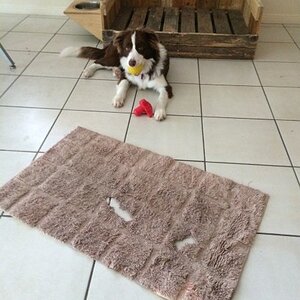 IMG_0682_zpsvjwebqta.jpg