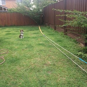 IMG_0659_zpsmrzm6emw.jpg