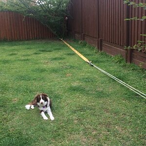 IMG_0664_zpsladljdtw.jpg