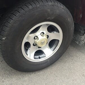image.jpeg