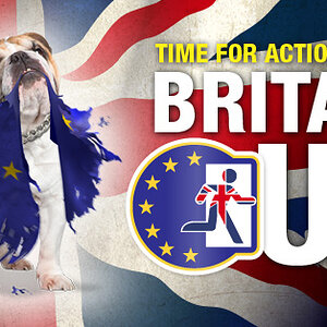 bnp_britain-out_9.jpg