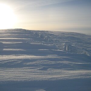 IMG_4440.JPG
