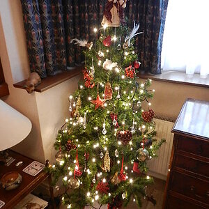 Xmas tree.JPG