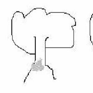tree 2.jpg