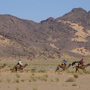 aws_camelRace_140.jpg