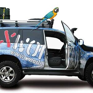 LC3 Himalaya.jpg