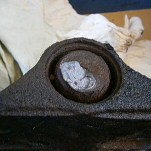 pic1.jpg