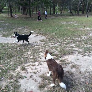 IMG_0912_zps0wkfzxqd.jpg
