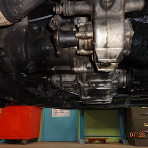 DSC03950.JPG