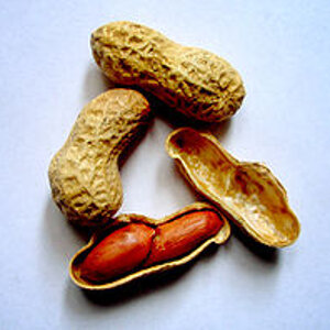 220px-Arachis-hypogaea-%28peanuts%29.jpg