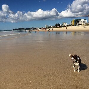 IMG_1489_zps5kwaxkmq.jpg