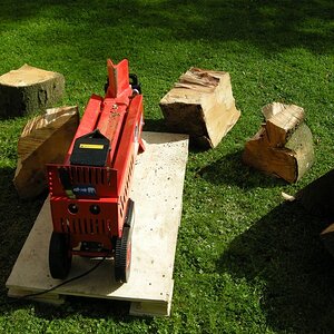 DSCN6539_zpsfxgaegkm.jpg