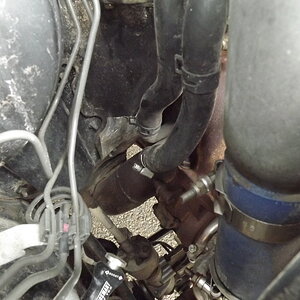 coolant leak 002.JPG