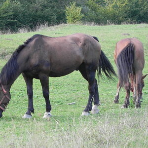 DSCN0290.JPG