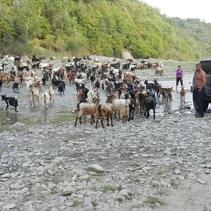 DSCN2124.JPG