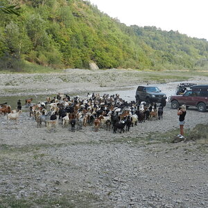 DSCN2123.JPG