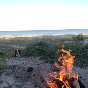 IMG_2324_zpsogd1efi0.jpg