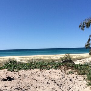 IMG_2465_zpskqwgamgt.jpg