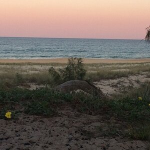 IMG_2546_zpsxjbubbbu.jpg