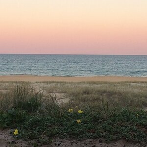 IMG_2547_zps4uxlztpf.jpg
