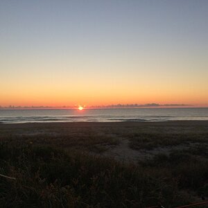 IMG_2555_zpscaiie2vi.jpg