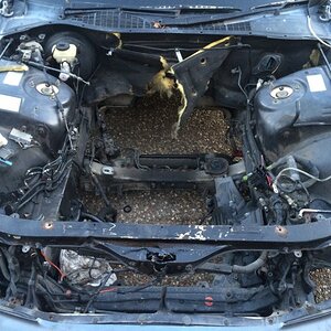 IMG_2619_zpsa8pu5twy.jpg