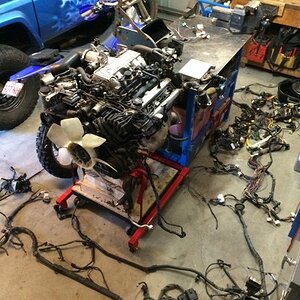 IMG_2691_zpsznc8zptc.jpg