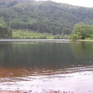 P1010008.jpg