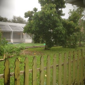 IMG_9067.JPG