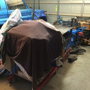 IMG_2865_zpsl8a6ykcv.jpg