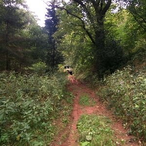 IMG_6768.JPG