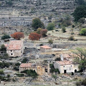 IMG_3442 (2).JPG
