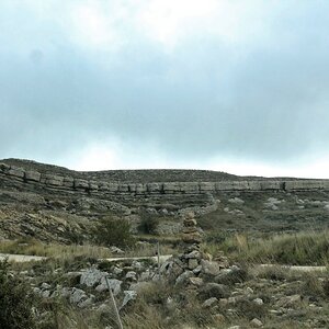 IMG_3449 (2).JPG