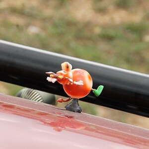 IMG_3467 (2).JPG
