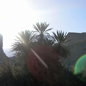 SANY0003 (2).JPG