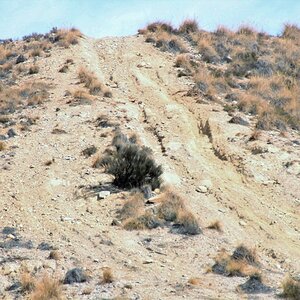 IMG_3532 (2).JPG