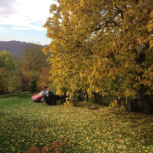 IMG_8681.JPG