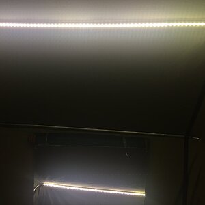 IMG_9952.JPG