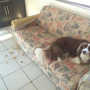 IMG_2975_zpsooe2imzk.jpg