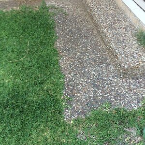 IMG_2875_zps0crwyxvv.jpg