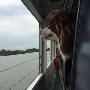 IMG_3068_zpswuyhdabc.jpg