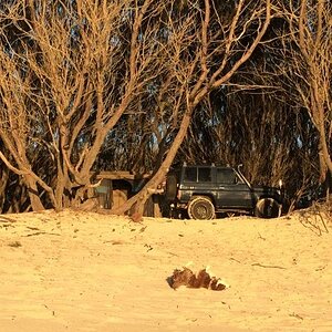 IMG_3197_zpsjd1iabat.jpg