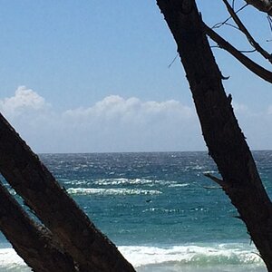 IMG_3261_zpsjldzdd6w.jpg