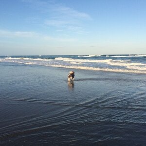 IMG_3302_zpsdxta71ds.jpg